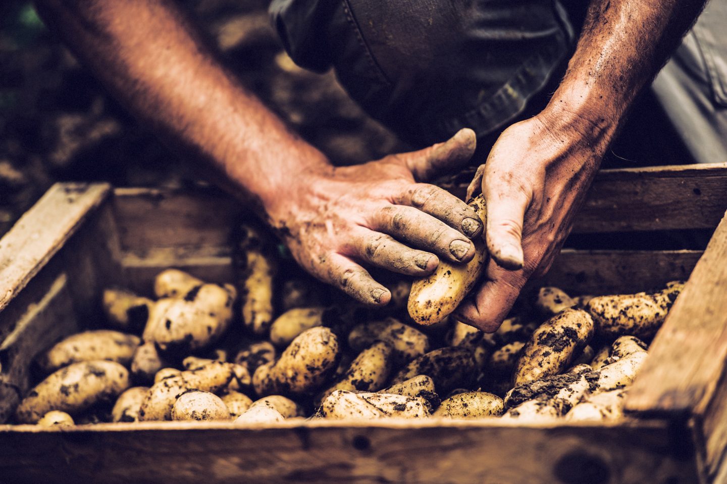 Handen-aardappels