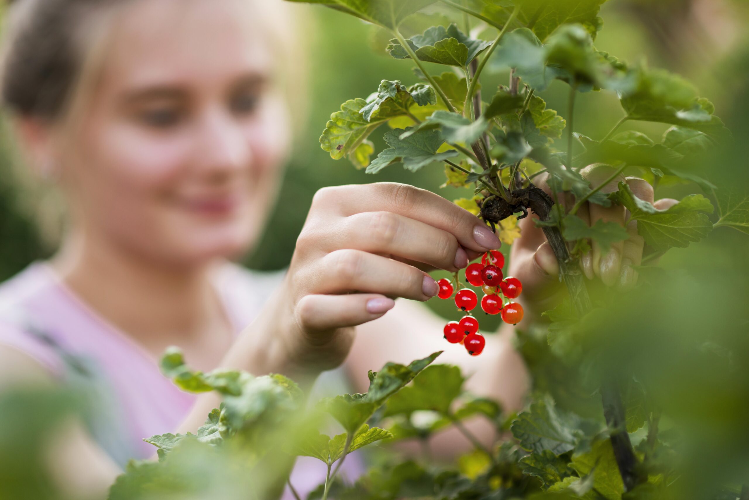 close-up-blurred-girl-picking-fruits (1)